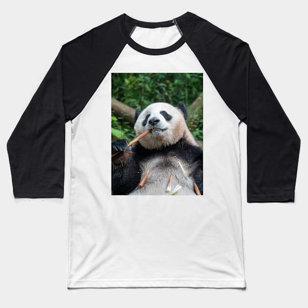 Panda Loves Bamboo! Baseball T-Shirt by LukeDavidPhoto